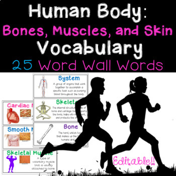 Preview of Human Body Word Wall: Bones, Muscles, and Skin and Student Vocabulary Page