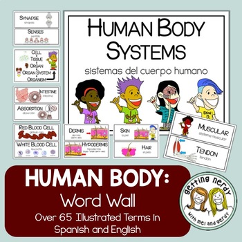 Preview of Human Body Systems - Word Wall - Distance Learning