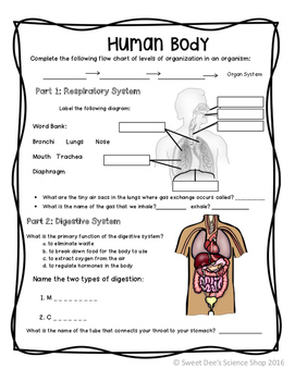 Human Body Worksheets by Sweet Dee's Science Shop | TpT