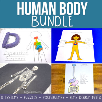 Preview of Human Body Worksheets Bundle