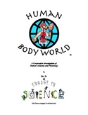 Human Body World- A Cooperative Investigation of Human Ana