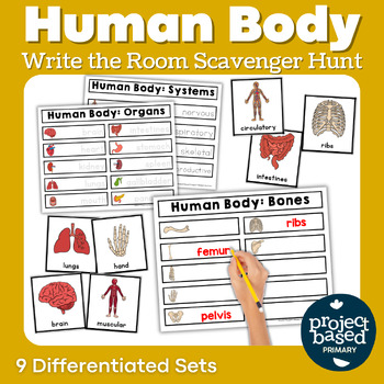 Preview of Human Body Write the Room Scavenger Hunt