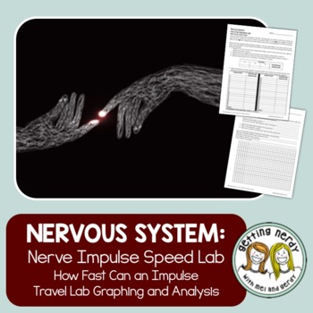 Preview of Nervous System - Neuron Speed Lab