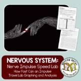 Nervous System - Neuron Speed Lab