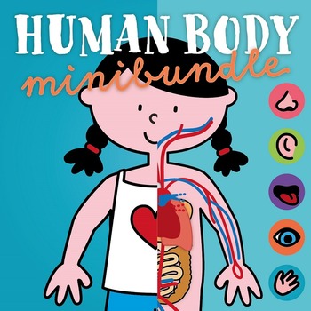 Preview of Human Body mini bundle