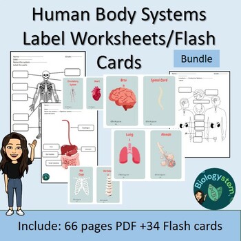 Preview of Human Body systems Label worksheets and flash cards Bundle