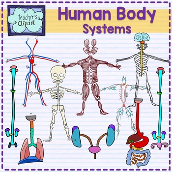 Human Body systems clipart BUNDLE Science clip art by Teacher's Clipart