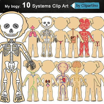 Preview of Human Body Systems Clip Art / Science clipart Commercial use