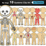 Human Body Systems Clip Art Bundle