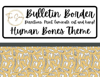 Preview of Human Bones Health Themed Bulletin Border / Printable Bulletin Board / PDF