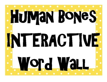 Preview of Human Bones INTERACTIVE Word Wall