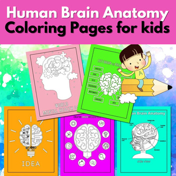 Preview of Human Brain Anatomy Coloring book for kids, 30 Human Brain Coloring Pages
