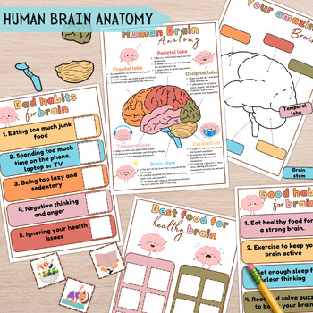 Preview of Human Brain Anatomy for Kids, Brain Puzzle,Kids Science Game, Learning My Body