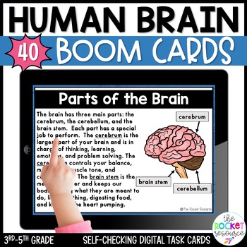 Preview of Human Brain Boom Cards | Reading Comprehension Boom Cards | Nervous System
