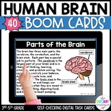 Human Brain Boom Cards | Reading Comprehension Boom Cards 