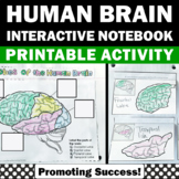 Human Brain Nervous System Science Interactive Notebook Cr