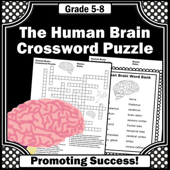 Preview of Human Brain Body Systems Vocabulary Science Crossword Puzzle Digital Easel