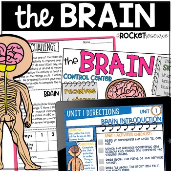 Preview of Human Brain | Parts of the Brain | Human Body Organs | Nervous System