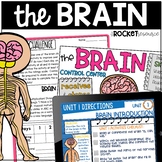 Human Brain | Parts of the Brain | Human Body Organs | Ner