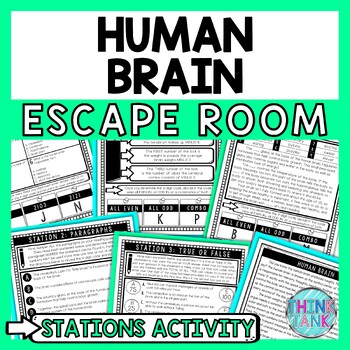 Preview of Human Brain Escape Room Stations - Reading Comprehension Activity