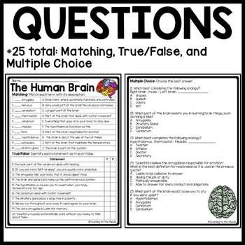 Human Brain Reading Comprehension Worksheet, Science, Body ...