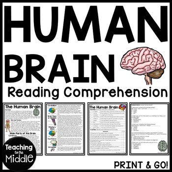 Preview of Human Brain Informational Text Reading Comprehension Worksheet Nervous System
