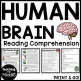 Human Brain Informational Text Reading Comprehension Works