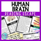Human Brain Reading Comprehension and Puzzle Escape Room -