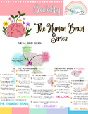 Human Brain Social Emotional Learning Handouts; Human Brai