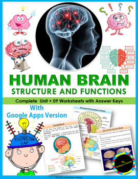 Preview of Human Brain: Structure & Functions | Printable and Digital Distance Learning