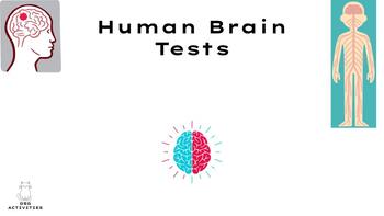 Preview of Human Brain Tests _ Test Your Memory and Reaction Times