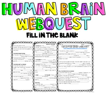 Preview of Human Brain Webquest: Fill in the Blank