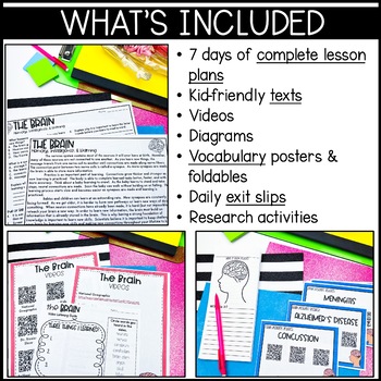 Human Brain: brain parts, brain diagrams, activities / Distance Learning