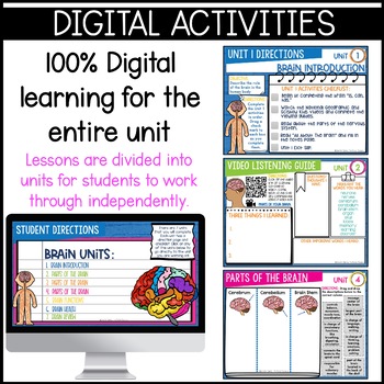 Human Brain: brain parts, brain diagrams, activities / Distance Learning