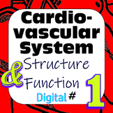 Human Cardiovascular System Structure & Function #1 Digita