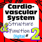 Human Cardiovascular System Structure & Function #2 Digita