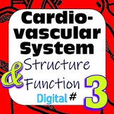 Human Cardiovascular System Structure & Function #3 Digita