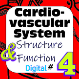 Human Cardiovascular System Structure & Function #4 Digita