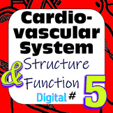 Human Cardiovascular System Structure & Function #5 Digita