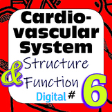 Human Cardiovascular System Structure & Function #6 Digita