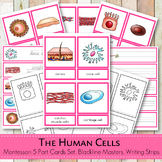 Human Cells Montessori Learning Pack