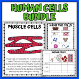 Types of Cells in the Human Body Coloring Worksheets & Mat