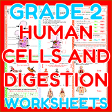 Human Cells and Digestion - Science Worksheets for Grade 2