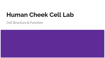 Preview of Human Cheek Cell Lab