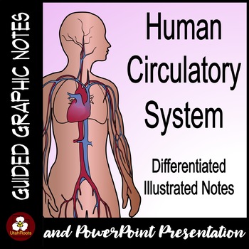 Preview of Circulatory System Guided Graphic Notes with PowerPoint Presentation