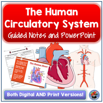 Preview of Human Circulatory System Guided Notes and PowerPoint