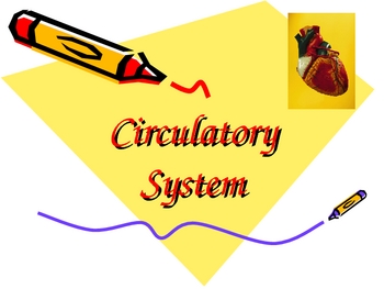 Preview of Human Circulatory System Powerpoint