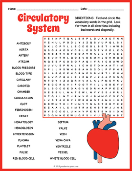 human circulatory system word search worksheet by puzzles to print