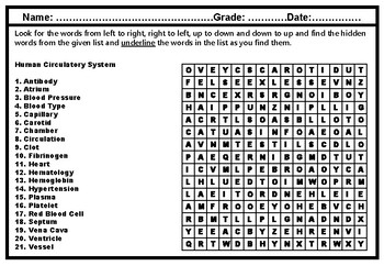 Preview of Human Circulatory System Word Search Worksheet, Human Body Project
