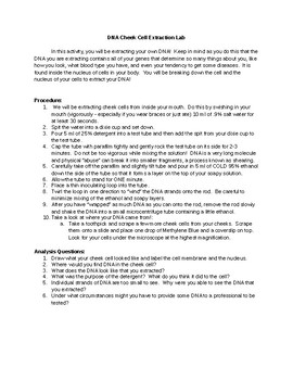 Preview of Human DNA Extraction Lab